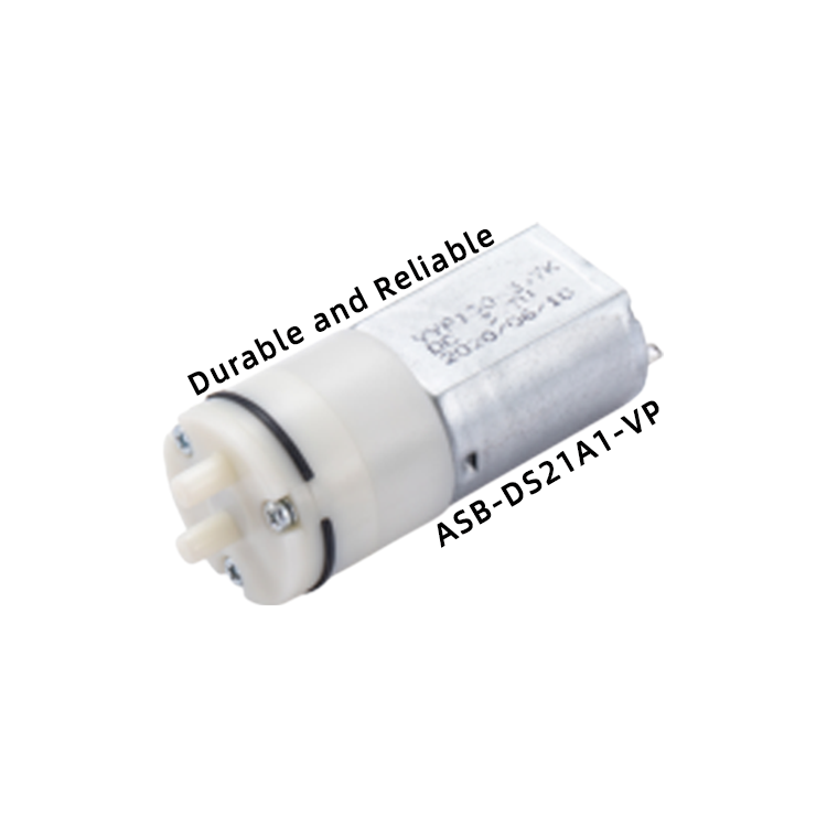 ASB-DS21A1-VP Mini vacuum pump