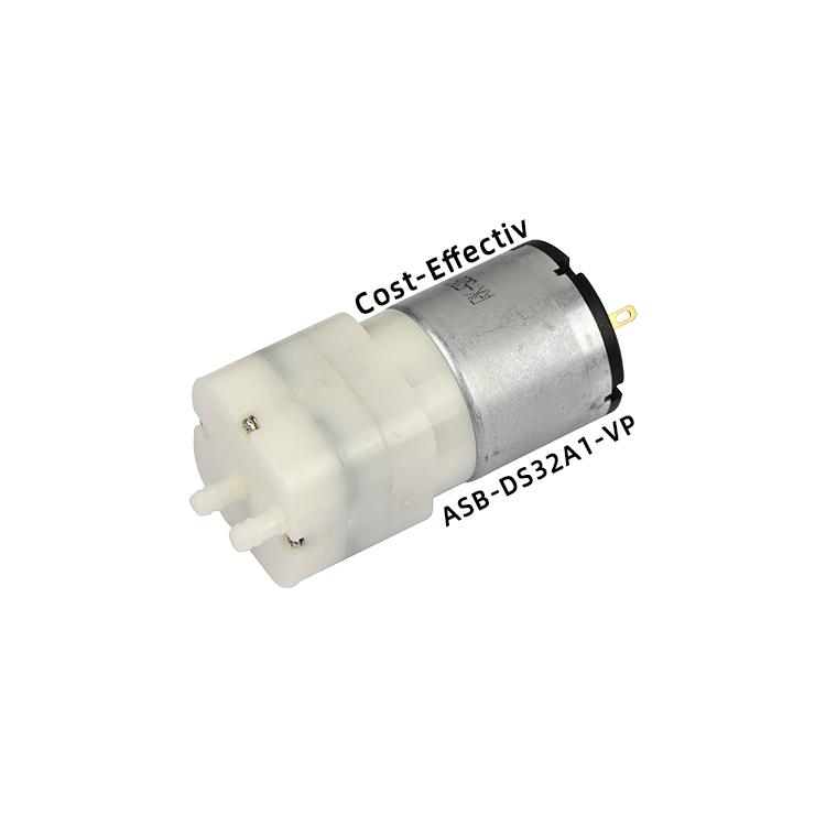 ASB-DS32A1-VP Mini vacuum pump