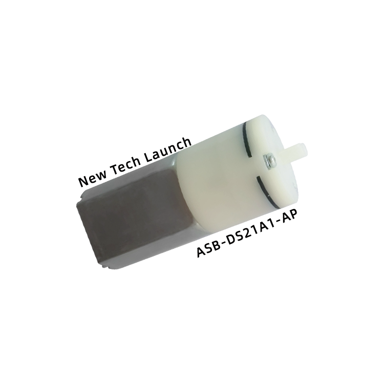 ASB-DS21A1-AP Mini air pump