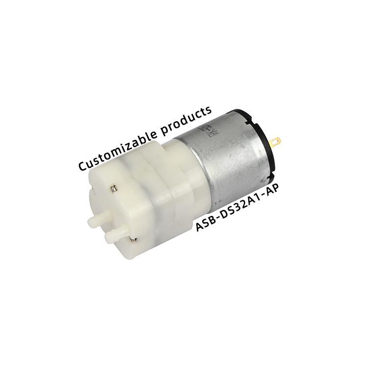 ASB-DS32A1-AP Mini air pump