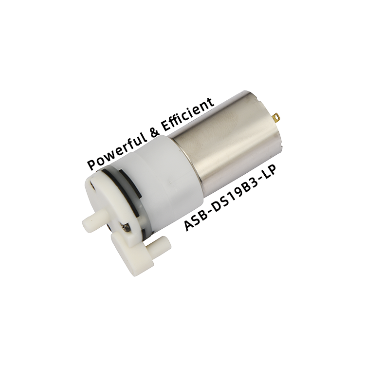 ASB-DS19B3-LP Mini water pump