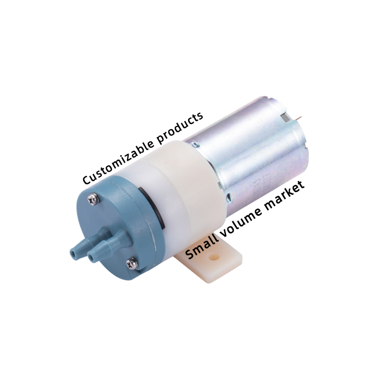 ASB-DS27B1-LP Mini water pump