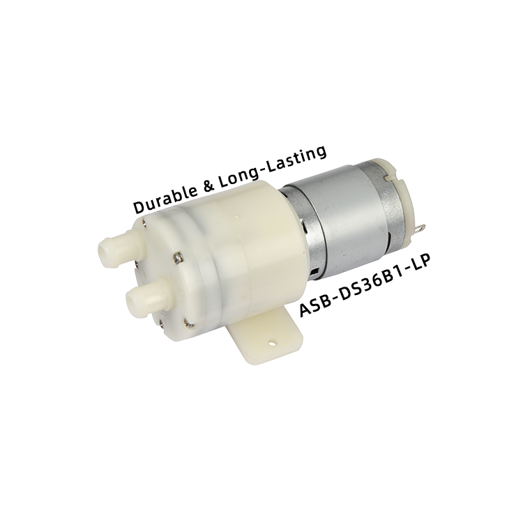 ASB-DS36B1-LP Mini water pump